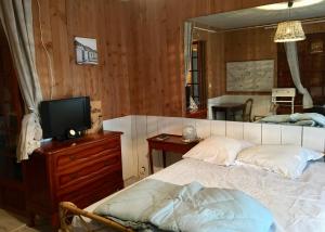 居让梅斯特拉guesthouse bassin d'arcachon à la hume的一间卧室配有一张床、一台电视和一面镜子