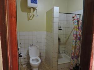 卡拉图Perigrin Rest House的一间带卫生间和淋浴的浴室