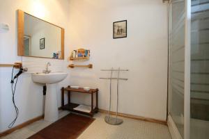 GrisollesChâteau de Fontanas, les Lauriers的一间带水槽、镜子和淋浴的浴室