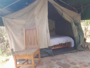 Sekenanisunrise mara safari camp的帐篷内的一张床和一把椅子