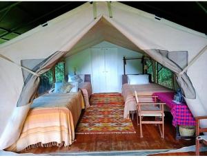 Sekenanisunrise mara safari camp的帐篷内的四张床位