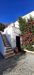 比纽埃拉Attico Los Montes with private pool的白色的建筑,有门和楼梯,花朵花