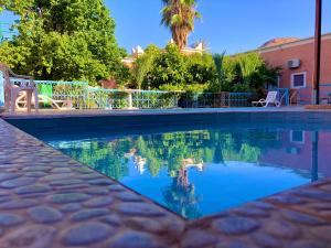 泰夫劳特雷尔葛妮尔迪迈尔酒店的水中棕榈树的游泳池
