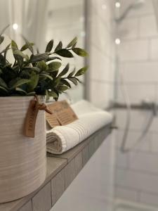 明斯特Weberhof Apartment 5的一间在柜台上备有毛巾和植物的浴室