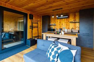 诺茨瓦约Blackbox House Noszvaj的一间带蓝色沙发的客厅和一间厨房