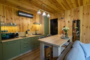 诺茨瓦约Blackbox House Noszvaj的厨房设有绿色的橱柜和木制天花板。