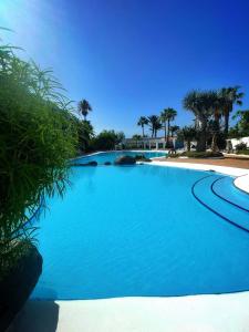 圣米格尔德阿沃纳Suite Poseidon Golf & Ocean View的一个种有棕榈树的大型蓝色游泳池