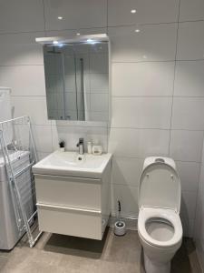 斯德哥尔摩Nice guest house的一间带卫生间、水槽和镜子的浴室