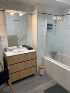 梅斯Sweet appartement entier Metz Sablon Gare 75 m2的浴室配有水槽、淋浴和浴缸。