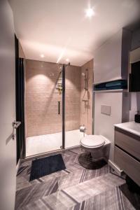 图尔奈Gîtes de Tournai - Les carrières的带淋浴、卫生间和盥洗盆的浴室