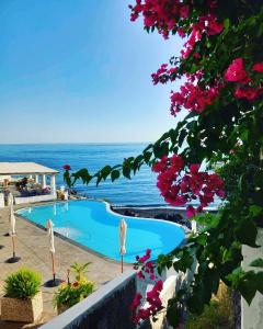 斯特龙博利Hotel Villaggio Stromboli - isola di Stromboli的一座背景海洋的游泳池