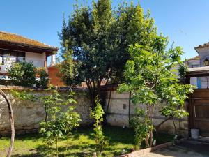 内塞伯尔Nikoli - Nesebar Traditional House的石墙旁的院子中的一棵树