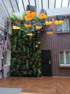 巴黎艾达玛莱酒店的挂在墙上的植物,雨伞