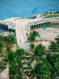 马塞约Quarto em Apto Compartilhado BEIRA MAR的享有棕榈树海滩和码头的景色