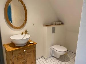 福堡Gamle Præstegård的一间带水槽和卫生间的浴室