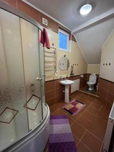 亚列姆切"Діброва"的带淋浴、盥洗盆和卫生间的浴室