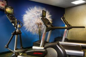 格雷普韦恩达拉斯机场北/格雷普韦恩春季山丘套房酒店的健身房,室内配有两辆健身自行车