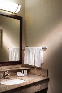 格雷普韦恩达拉斯机场北/格雷普韦恩春季山丘套房酒店的浴室配有盥洗盆、镜子和毛巾
