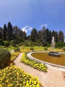 MercalloLa Casa dei Laghi 2 Comabbio Monate Maggiore Orta的一座花园,花园内拥有喷泉和黄色的鲜花