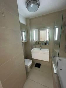 伦敦Refurbished central apartment的一间带水槽、卫生间和淋浴的浴室