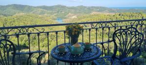 都拉斯Villa Panorama的阳台顶部带花瓶的桌子