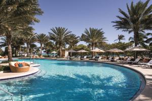 迈阿密海滩迈阿密巴尔港丽思卡尔顿度假村的一个带椅子的游泳池,棕榈树