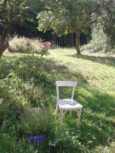Logement studio dans un coin paradisiaque的坐在草地上的椅子