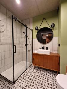 蒂科钦Apartamenty LOFTykocin的带淋浴、盥洗盆和镜子的浴室