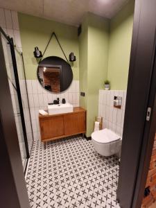 蒂科钦Apartamenty LOFTykocin的一间带水槽、卫生间和镜子的浴室
