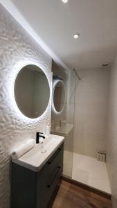 维希Appartement au calme T3 RDC - Quartier de France的一间带水槽、镜子和淋浴的浴室