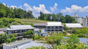 草津Kusatsu Onsen Kusatsu Hotel1913的城市的顶部景观,建筑