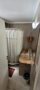 布宜诺斯艾利斯Oasis Lodging的一间带水槽和淋浴的浴室
