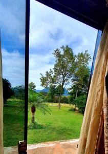 巴拉瓜里Tower Suites的从树田的窗户上看到