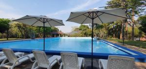 巴拉瓜里Tower Suites的一组椅子和遮阳伞,位于游泳池旁