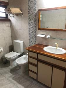拉安戈斯图拉镇Cabaña patagónica的一间带卫生间、水槽和镜子的浴室
