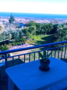 皮耶迪蒙泰埃特内奥Casa EtnaparadisoTaormina- PiedimonteEtneo的坐在阳台上桌子上的盆栽植物