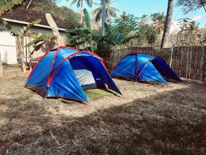 LembarKhabita Beach Resort的两个蓝色和红色的帐篷,位于草地上