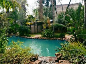 PelindabaMotozi Lodge的棕榈树庭院里的水池