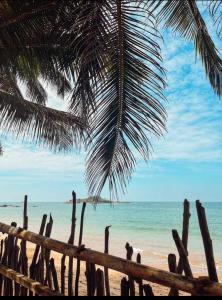 贝鲁沃勒CocoVilla Boutique Resort的海滩上种着棕榈树和鸟的海滩