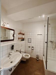 吕贝克荷尔斯登托菲林沃尔姆艮酒店的一间带水槽、卫生间和淋浴的浴室