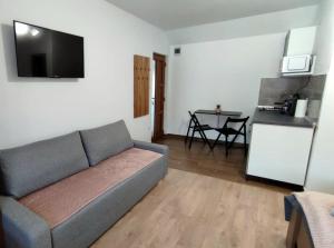 普拉伊德Kodaros Studio Parajd的带沙发的客厅和小厨房。