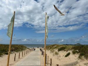 诺德克豪特Holiday Home de Witte Raaf-2 by Interhome的通往海滩的一条小径,上面有旗帜和鸟