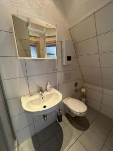 多特蒙德DO One Bedroom Flat的一间带水槽、卫生间和镜子的浴室