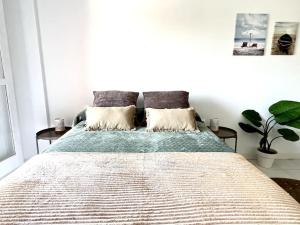 维拉Estudio Naturista Indalo的一间卧室配有一张大床和两个枕头