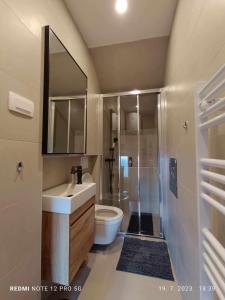 洛夫兰Apartment Tami with Swimming pool的浴室配有卫生间、盥洗盆和淋浴。