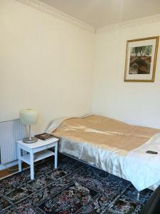 乌普萨拉Villa Herrhagen的一间卧室配有一张床和一张带台灯的桌子