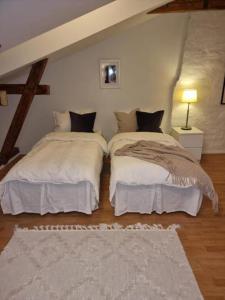 斯德哥尔摩Cosy Apartment in heart of Stockholm Sweden的一间带两张床的卧室和地毯