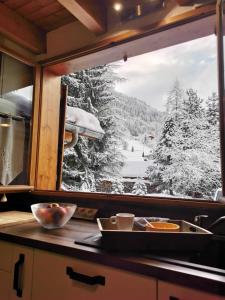 雷加霍斯达哈施Demi-Chalet l'Ancolie -- Prox pistes的厨房窗户享有积雪覆盖的森林美景
