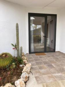 圣西普里亚诺德巴利亚尔塔Casa con vista y jardín, a 20' de la playa的仙人掌房子的滑动玻璃门