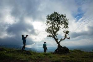 TindummalThe Forest Resort - Muneeswaramudi Eco Hermitage and Farms的两个人站在山坡上一棵树旁边